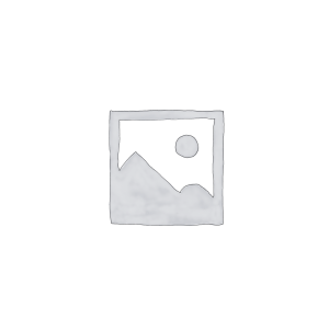 Reversing Camera